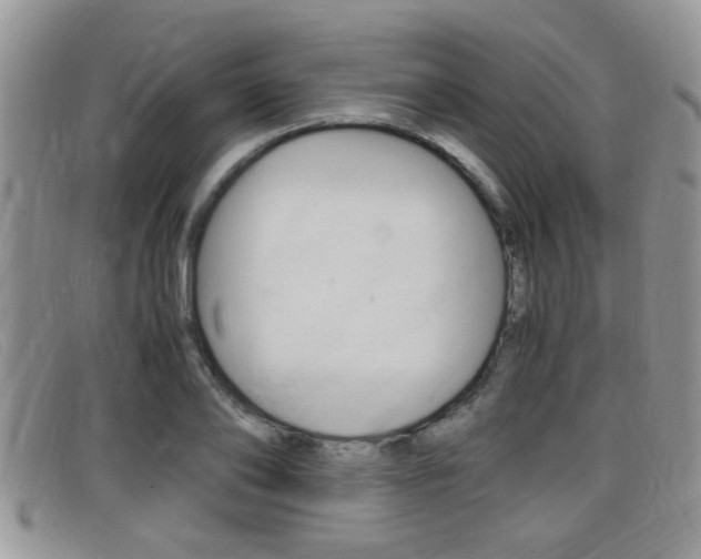 X0000099430886200805090724