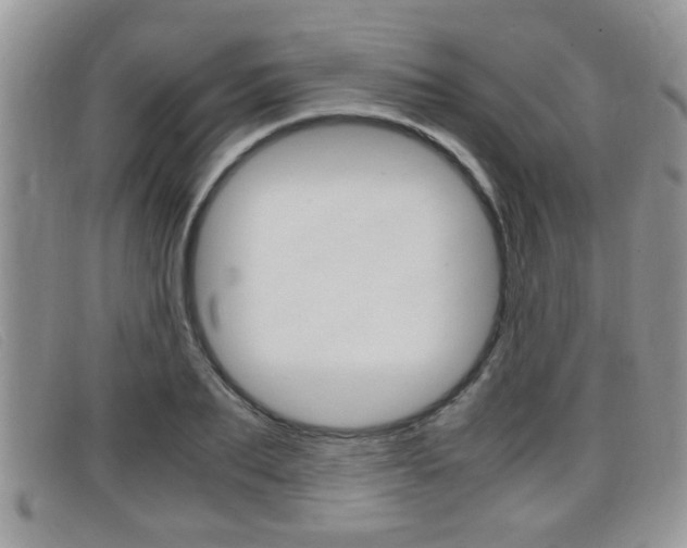 X0000099430887200805090724