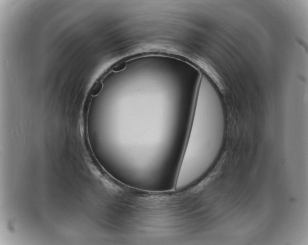X0000099430888200805090724