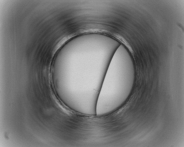 X0000099430890200805090724