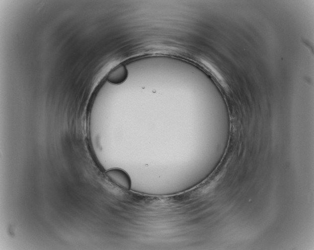 X0000099430891200805090724