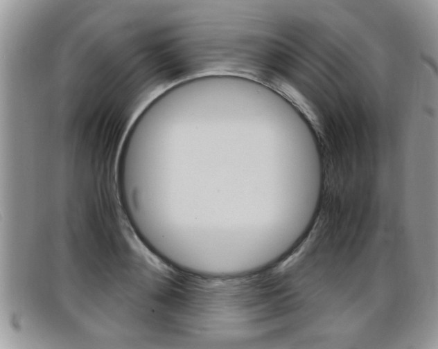 X0000099430892200805090724