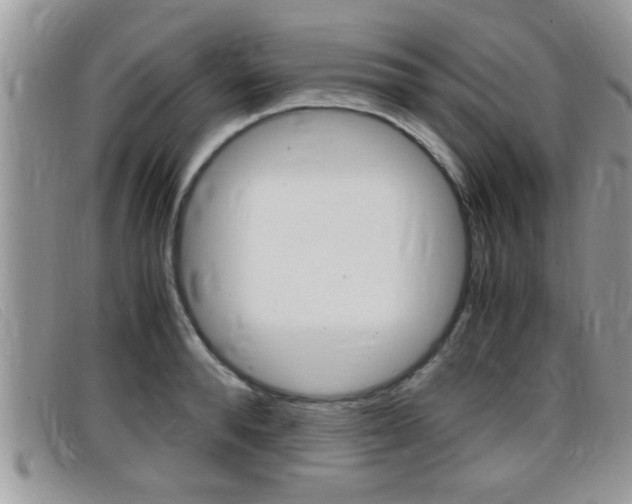 X0000099430896200805090724