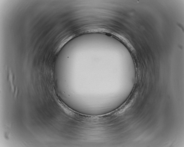 X0000099430897200805090724
