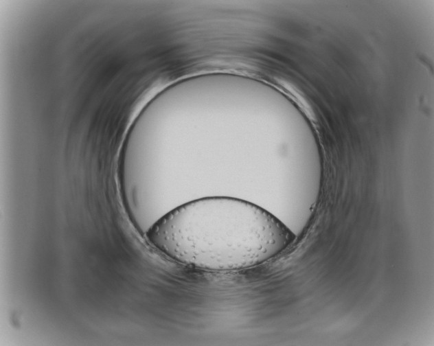 X0000099430899200805090724