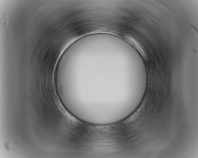 X0000099430900200805090724