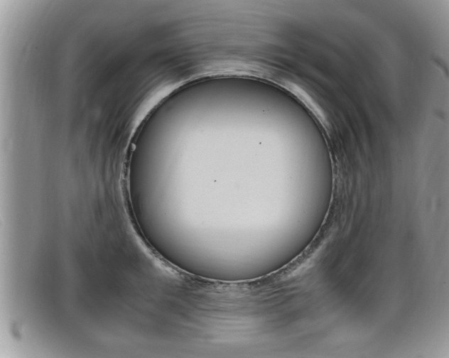 X0000099430901200805090724