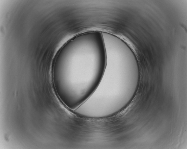 X0000099430902200805090724