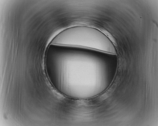 X0000099430904200805090724
