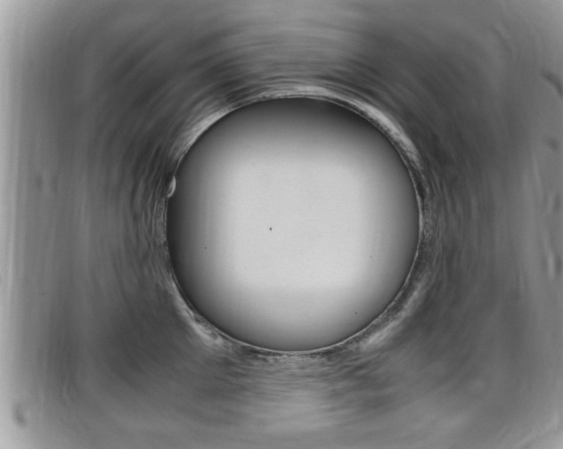 X0000099430905200805090724