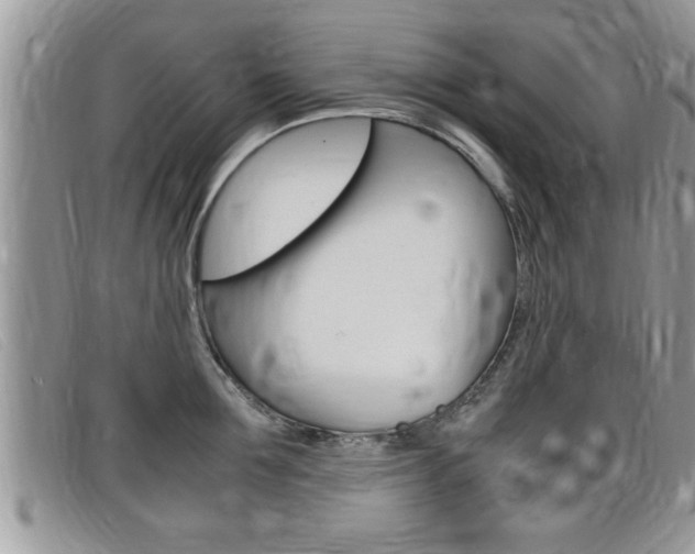 X0000099430907200805090724