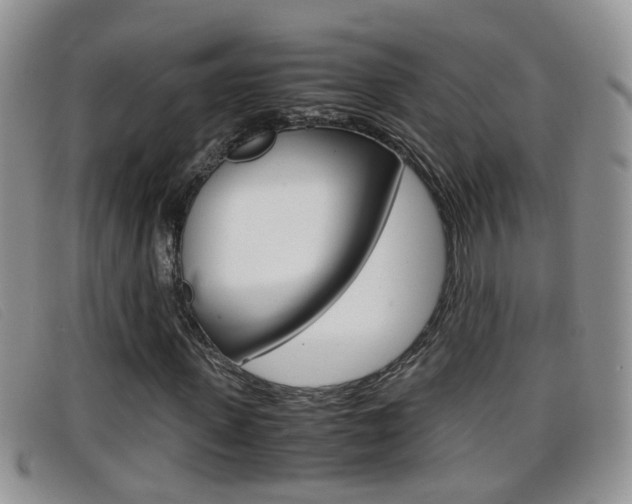 X0000099430915200805090723