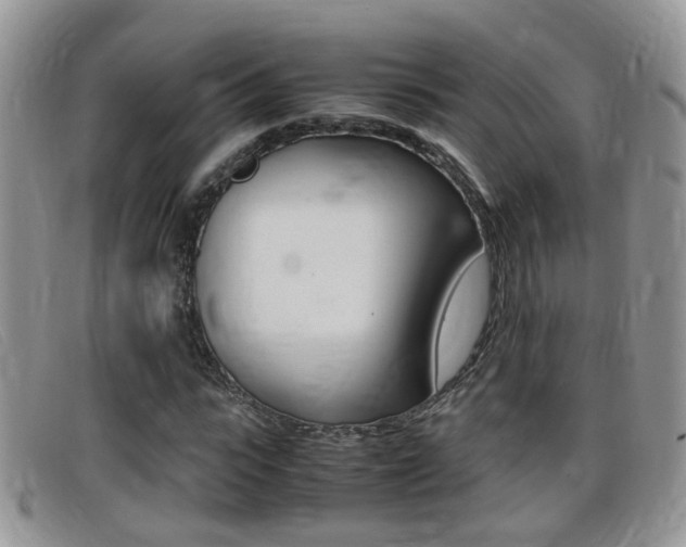 X0000099430919200805090723