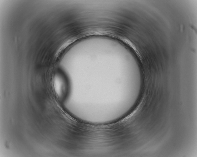 X0000099430922200805090723