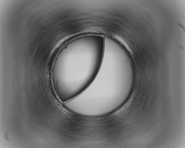 X0000099430923200805090723