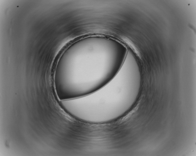 X0000099430924200805090723
