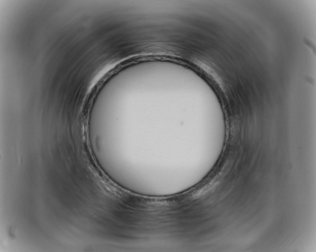 X0000099430925200805090723