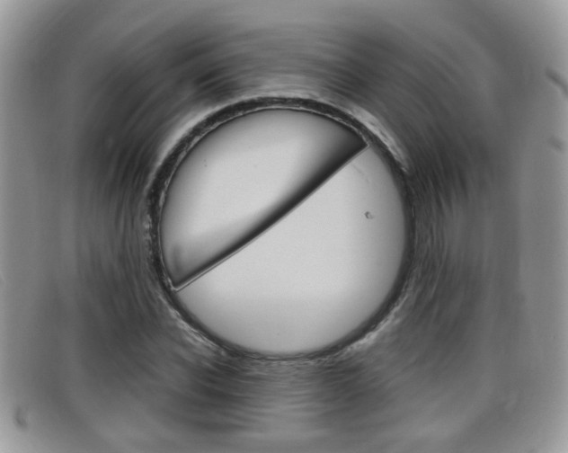 X0000099430926200805090723