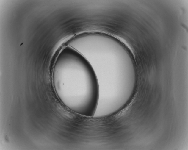 X0000099430927200805090723