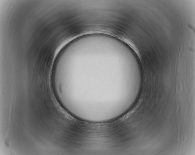 X0000099430928200805090723