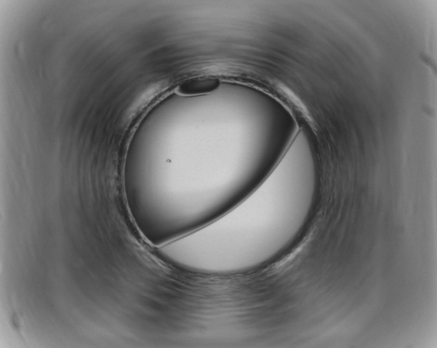 X0000099430930200805090723