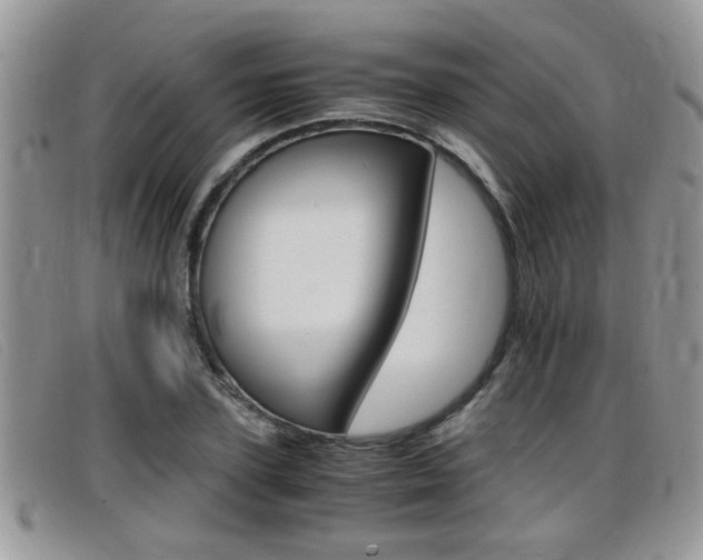 X0000099430931200805090723