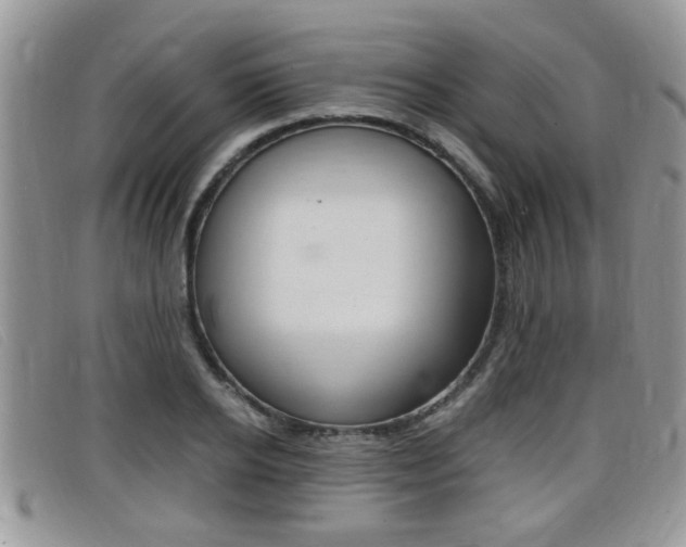 X0000099430934200805090723