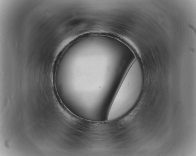 X0000099430935200805090723