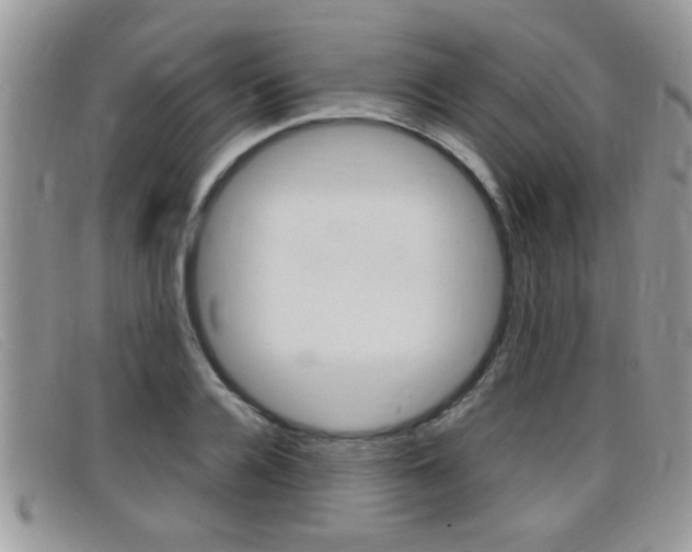 X0000099430936200805090724