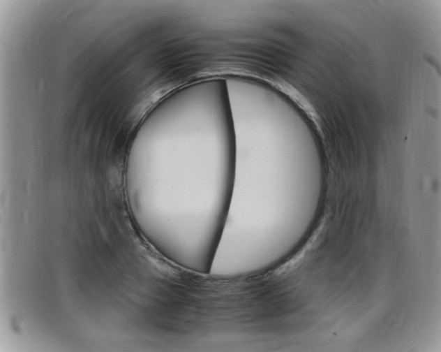 X0000099430937200805090724