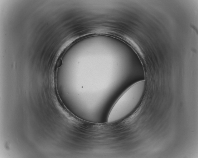 X0000099430939200805090724