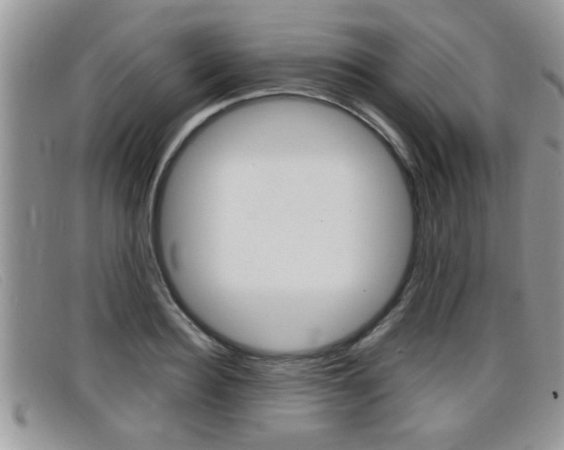 X0000099430940200805090724