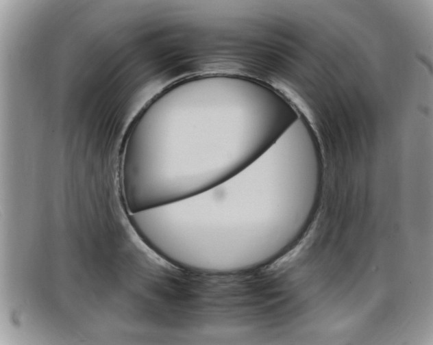 X0000099430941200805090724