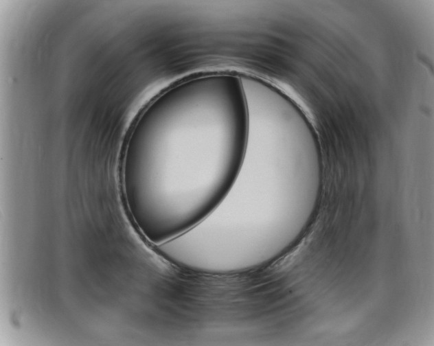 X0000099430943200805090724