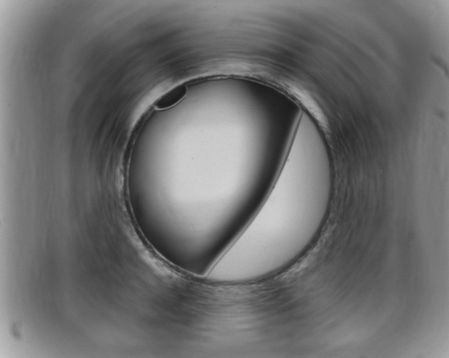 X0000099430944200805090724