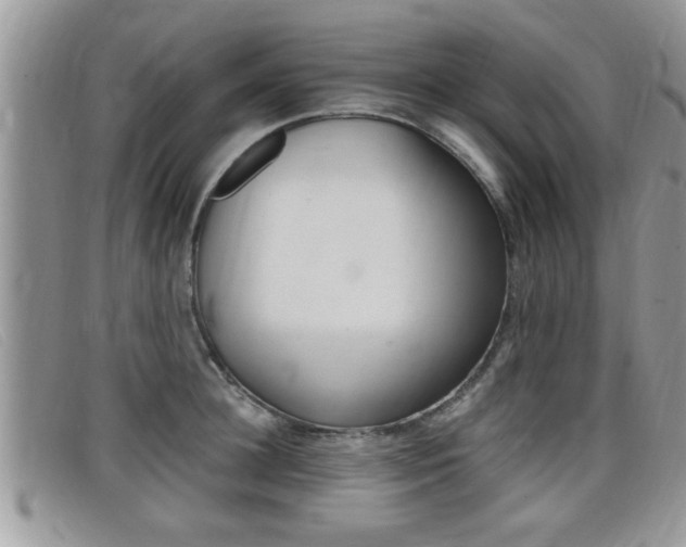 X0000099430948200805090724
