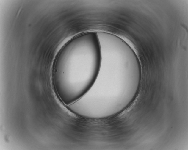 X0000099430949200805090724
