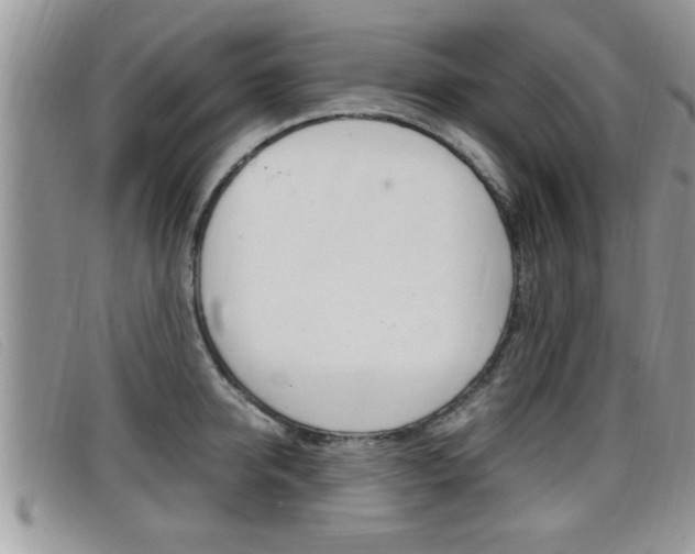 X0000099430950200805090724