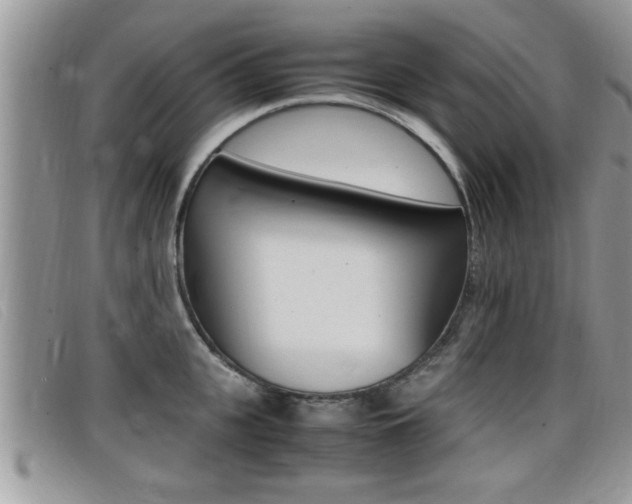 X0000099430951200805090724