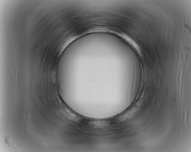 X0000099430953200805090724