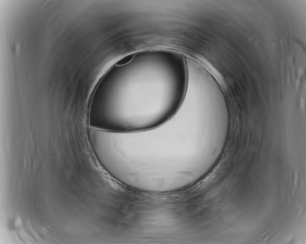 X0000099430956200805090724