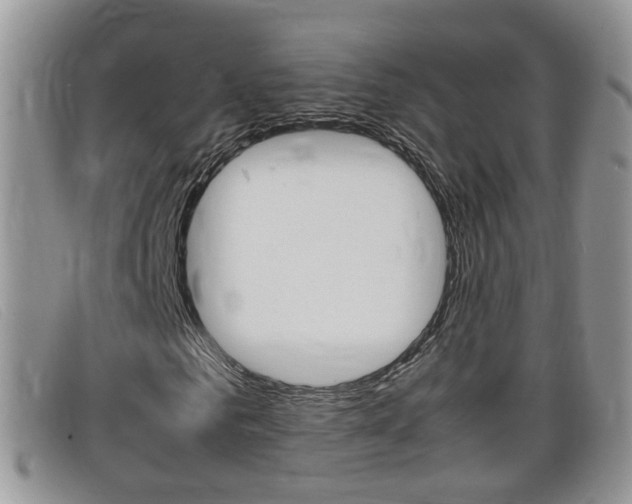 X0000099430961200805090723