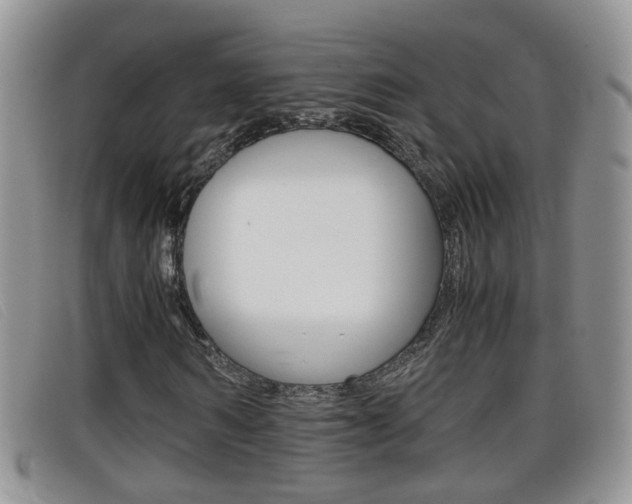 X0000099430962200805090723