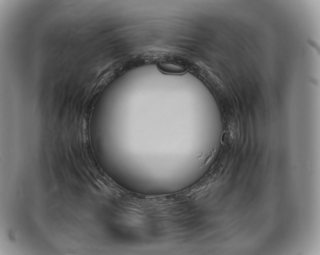X0000099430964200805090723