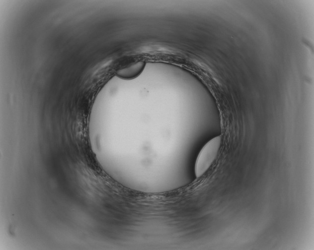X0000099430966200805090723