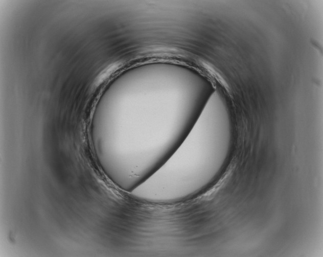 X0000099430970200805090723