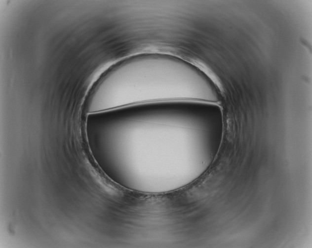 X0000099430972200805090723