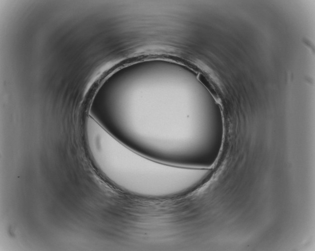 X0000099430973200805090723