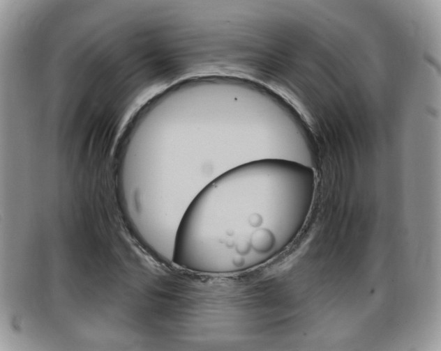 X0000099430974200805090723