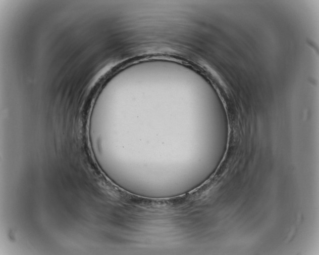X0000099430975200805090723
